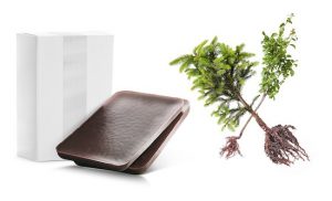 Mikrocer-RW-300x182